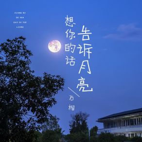 Download track 想你的话告诉月亮 Liu Shi