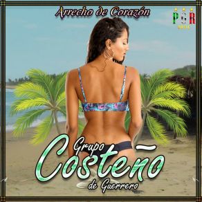 Download track Mis Amigos Grupo Costeño De Guerrero