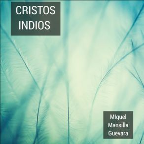 Download track Cristos Indios Miguel Mansilla Guevara