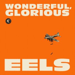 Download track I Am Building A Shrine Eels