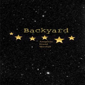 Download track Shaker (Itu Nu-Kwaito Mix) BackyardItu