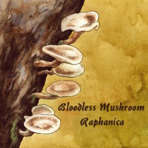 Download track Glacial Stream (Constrictus) Bloodless Mushroom