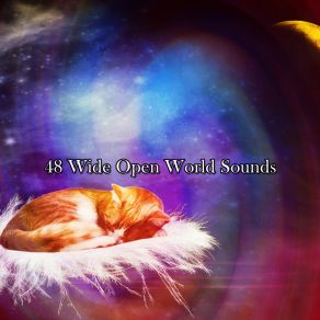 Download track Sleep Finder Best Relaxing SPA Music