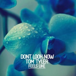 Download track Feels Like (Original Mix) Tom Tyler, Dont Look Now