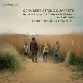 Download track String Quartet No. 9 In G Minor, D. 173- III. Menuetto. Allegro Vivace Chiaroscuro Quartet