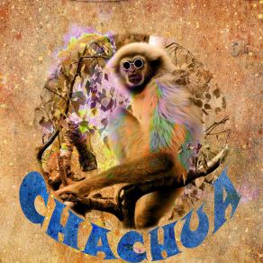 Download track (Exuent) Chachua