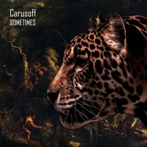 Download track Sometimes (Toly Braun Remix) Carusoff