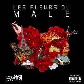 Download track Mauvais Œil Shakka