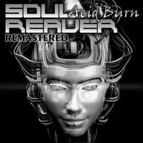 Download track Scan Crack Copyrights (Remastered) SoulReaver