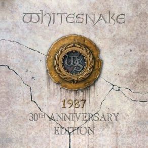 Download track Still Of The Night (2017 Remix) Whitesnake