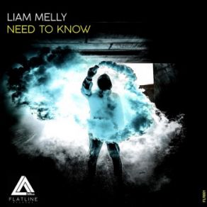 Download track Need To Know (Extended Mix) Liam Melly