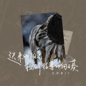 Download track 迟来的阳光救不了枯萎的向日葵 (伴奏) 庄淇文29