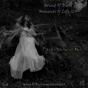 Download track Cracks In The Fabric Of The Known Wind Of BuriEvan Bartholomew