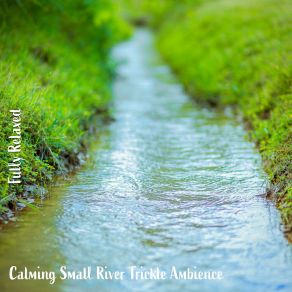 Download track Calming Small River Trickle Ambience, Pt. 12 Steve Brassel