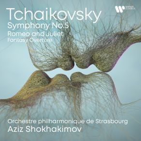 Download track Symphony No. 5 In E Minor, Op. 64: IV. Finale (Andante Maestoso - Allegro Vivace – Moderato Assai E Molto Maestoso - Presto - Molto Meno Mosso) Orchestre Philharmonique De Strasbourg, Aziz Shokhakimov