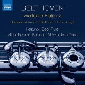 Download track Trio For Piano, Flute & Bassoon In G Major, WoO 37: I. Allegro Makoto Ueno, Kazunori Seo, Mitsuo Kodama