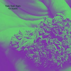 Download track Hallucinations (Oslo) (Don't Do Drugs Unless Your Mother Allows It Remix) Tempo Tempo TempoOslo