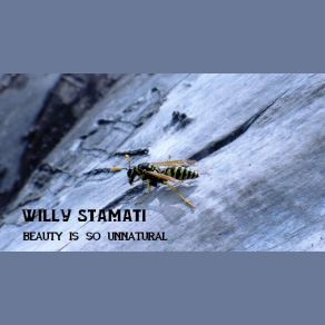 Download track Untitled Willy Stamati