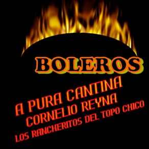 Download track Sueno Bonito Marco Antonio Pérez, Cornelio ReynaLos Rancheritos Del Topo Chico