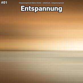 Download track Entspannung Teil 87 Entspannungsmusik