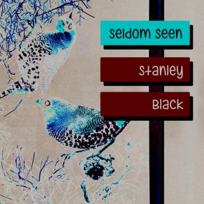 Download track Soft Lights And Sweet Music Stanley BlackIrving Berlin