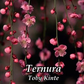 Download track Ternura Toby Kinte