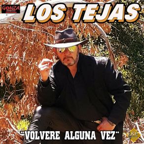 Download track Volveré Alguna Vez Los Tejas