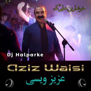 Download track Halparke Oslo Aziz Waisi