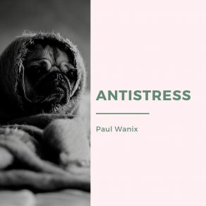 Download track No Stress Paul Wanix