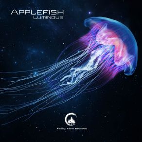 Download track Star Trails The Applefish