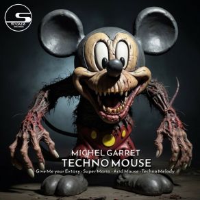 Download track Acid Mouse (Original Mix) Michel Garret