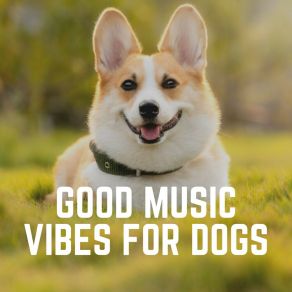 Download track My Dearest Pet's Favorite Track Music For Leaving Dogs Home Alone