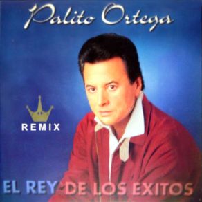 Download track La Felicidad (Versión Dos) (Remix '97) Palito Ortega