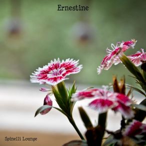 Download track Ernestine Spinelli Lounge