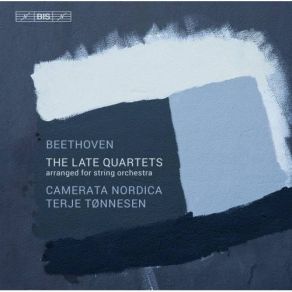 Download track 9. String Quartet No. 14 In C Sharp Minor Op. 131 - V. Presto Ludwig Van Beethoven