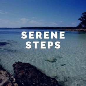 Download track Serene Steps Relieving Anxiety