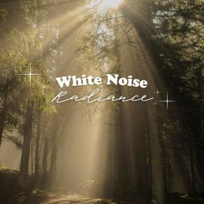 Download track Loop, Pt. 17 Bruit Blanc Sommeil
