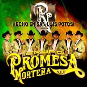 Download track El Baile De La Tia Promesa Norteña De San Luis