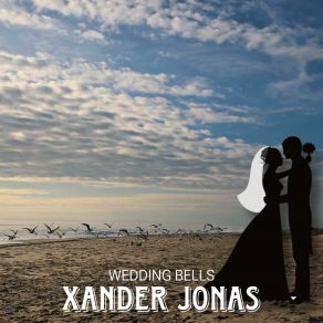 Download track What Do I Mean? Xander Jonas