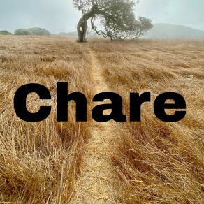 Download track Chare Child Animal