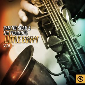 Download track Grasshopper Sam The Sham & The Pharaohs