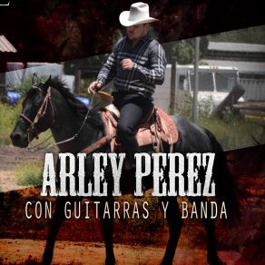 Download track Vicente Zambada Arley Perez