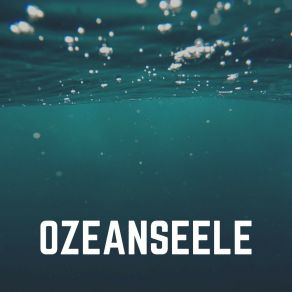 Download track Furchtloser Ozean Entspannungsmusik Meer