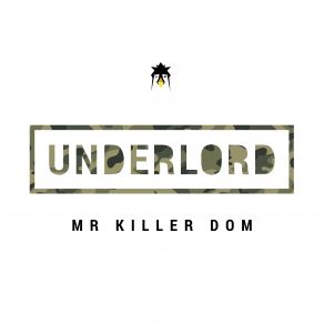 Download track Mr Killer Dom (Original Mix) Underlord