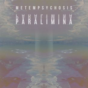 Download track Vivibule Metempsychosis