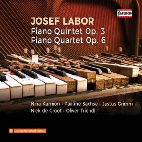 Download track Piano Quartet In C Major, Op. 6 II. Adagio Ma Non Troppo Nina Karmon