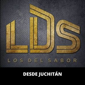 Download track Tambalea / Julia / Son Del Ocoxuchitl Los Del Sabor LDS