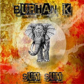 Download track Sum Sum Burhan K