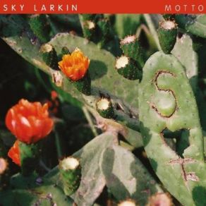 Download track To The Glow Sky Larkin