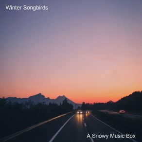 Download track Chasing Cars Winter Songbirds